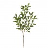 FICUS VERDE 85CM