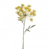 ENELDO AMARILLO 76CM
