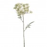 DILL BLANCO/VERDE 76CM
