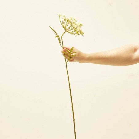 DILL BLANCO/VERDE 76CM