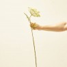DILL BLANCO/VERDE 76CM