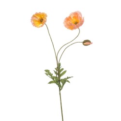 AMAPOLA NARANJA CL 75CM TALLO