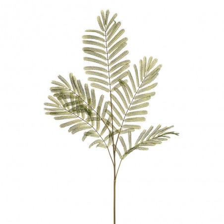 MIMOSA LVS X 5 VERDE 110CM