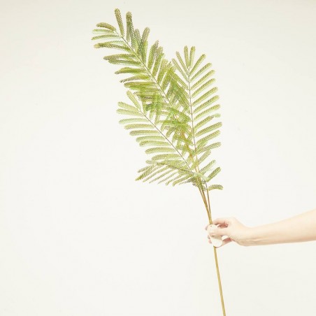 MIMOSA LVS X 5 VERDE 110CM