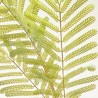 MIMOSA LVS X 5 VERDE 110CM