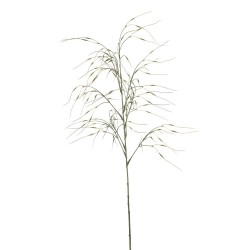 STIPA VERDE 110CM