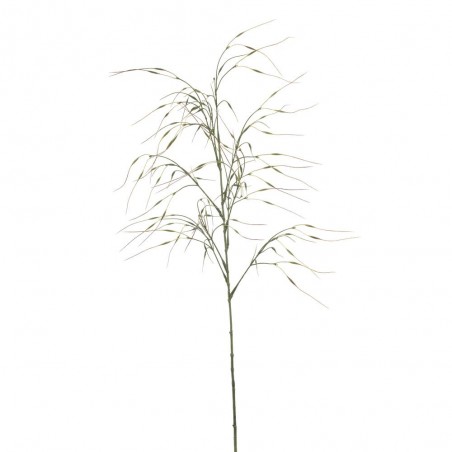 STIPA VERDE 110CM