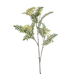 SORBUS X3 VERDE 80CM