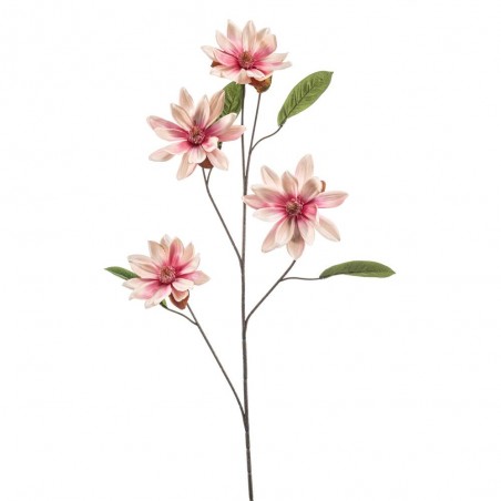 MAGNOLIA ROSA 102CM