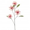 MAGNOLIA ROSA 102CM
