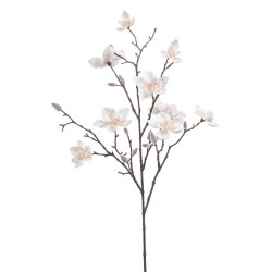 MAGNOLIA CREMA 85CM