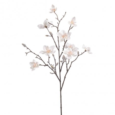 MAGNOLIA CREMA 85CM