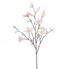 MAGNOLIA CREMA 85CM