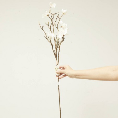 MAGNOLIA CREMA 85CM