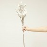 MAGNOLIA CREMA 85CM