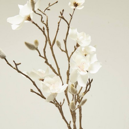 MAGNOLIA CREMA 85CM