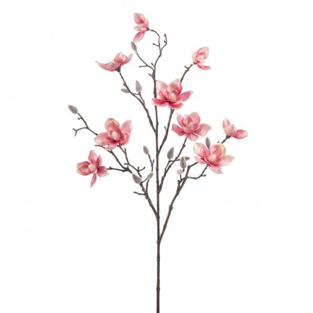 MAGNOLIA ROSA 85CM