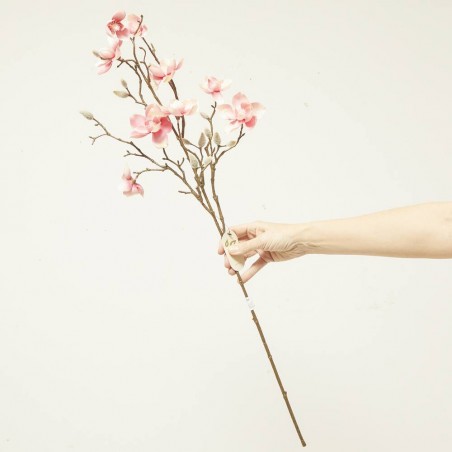 MAGNOLIA ROSA 85CM