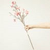MAGNOLIA ROSA 85CM