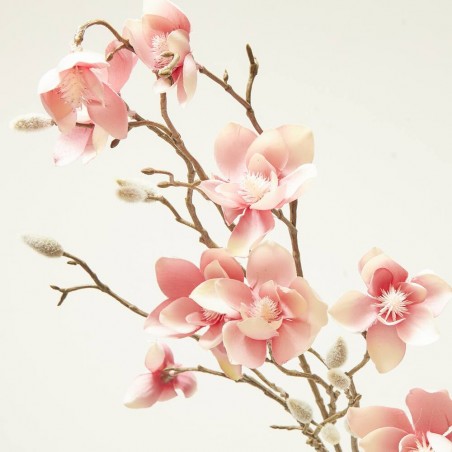MAGNOLIA ROSA 85CM