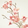 MAGNOLIA ROSA 85CM