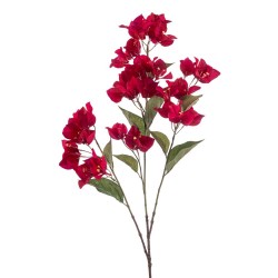 BUGANVILLA FUCSIAA 85CM