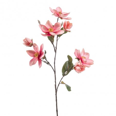 MAGNOLIA ROSA  95CM