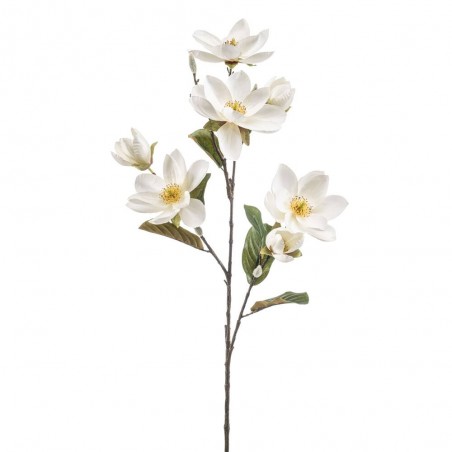 MAGNOLIA CREMA 95CM