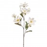 MAGNOLIA CREMA 95CM