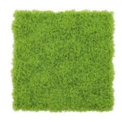 PLANCHA JARDÍN VERTICAL GROENLANDIA TACTO MUSGO 100X100