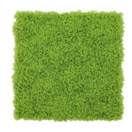 PLANCHA JARDÍN VERTICAL GROENLANDIA TACTO MUSGO 100X100