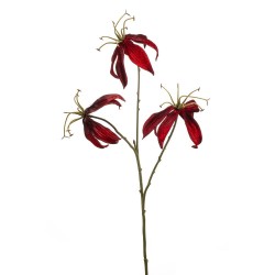 GLORIOSA ROJO 67CM