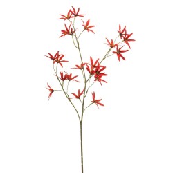 TWEEDIA ROJO 70CM