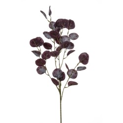 EUCALIPTO PURPURA 85CM