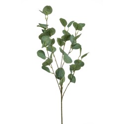VARA EUCALIPTO 85CM