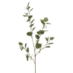 VARA EUCALIPTO 105CM