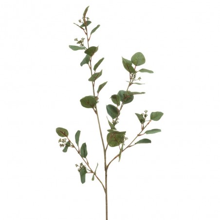 VARA EUCALIPTO 105CM