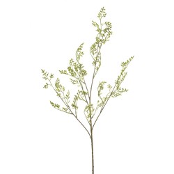 ACHORILLA VERDE 100CM