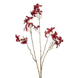 ROCIO LILA ROJO 80CM