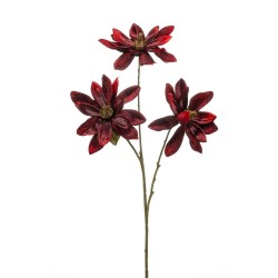 MAGNOLIA ROJO 70CM