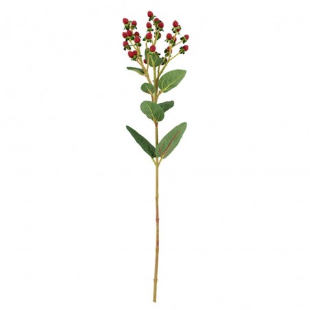 HIPERICO ROJO 64CM