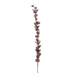 EUCALIPTO BORGOÑA 100CM