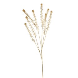 LIPIDIUM ORO 84CM