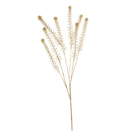 LIPIDIUM ORO 84CM