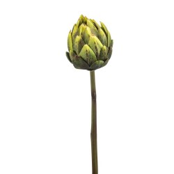 ALCACHOFA VERDE 58CM