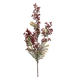 MIMOSA ROJO 75CM