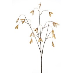 SEMILLA ARCE  BEIGE 100CM