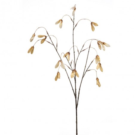 SEMILLA ARCE  BEIGE 100CM