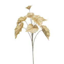 BEGONIA ORO 82CM
