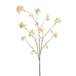 FLOR DE CEREZO CREMA 126CM